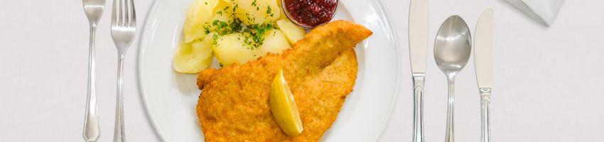 Fleischgerichte Groß Banner